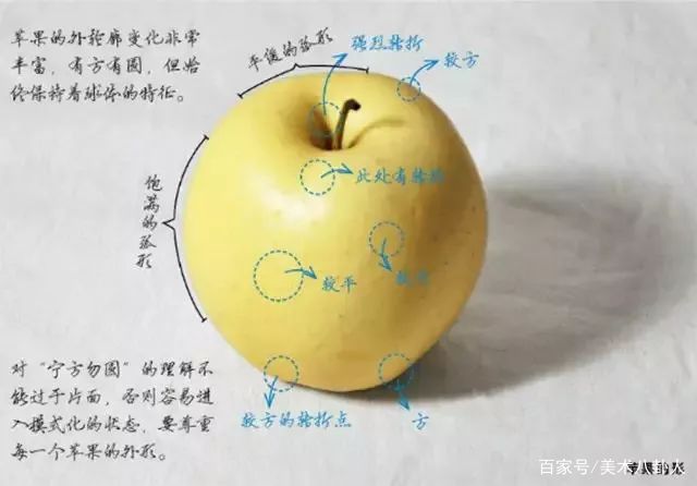 五, 苹果的结构表现深度解析四, 常见球体错误调子分析苹果的素描