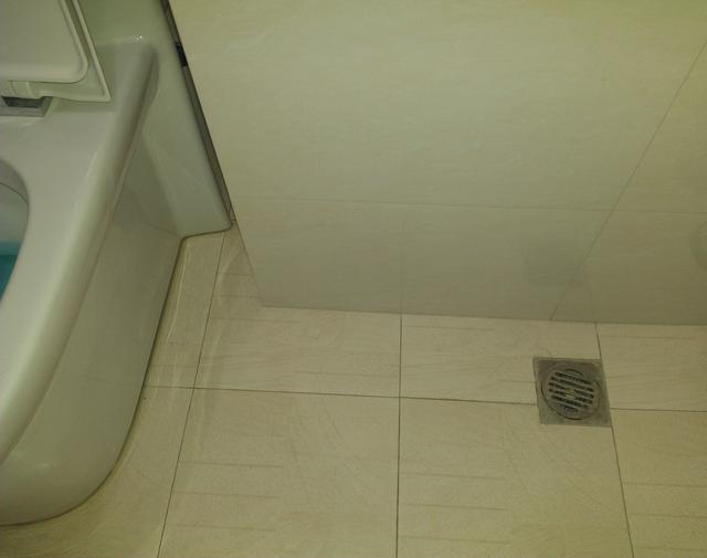 什么是干湿分离卫生间地漏 aa52b00b3ba248a595ba849d302fbaa0.jpeg