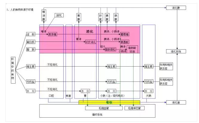 圈中的人口_字母圈中k9训练的姿势(2)