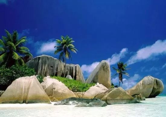 啥叫大自然 b455327fc4604f0f887f4862b50c699a.jpeg