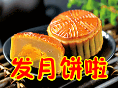bc3bfe7adf4a4a8db27890c97f0d0875.gif