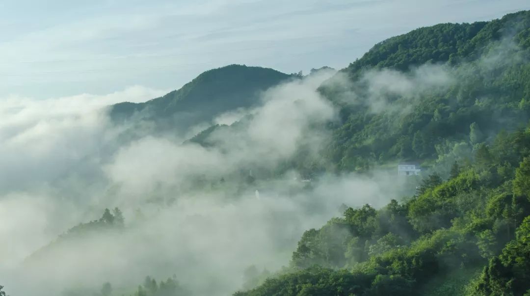 古佛弥陀道场雾中山