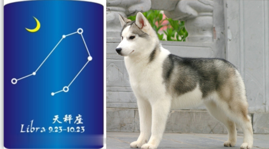 ccbb8c2d5eb14bb891571b20ff5db316.png