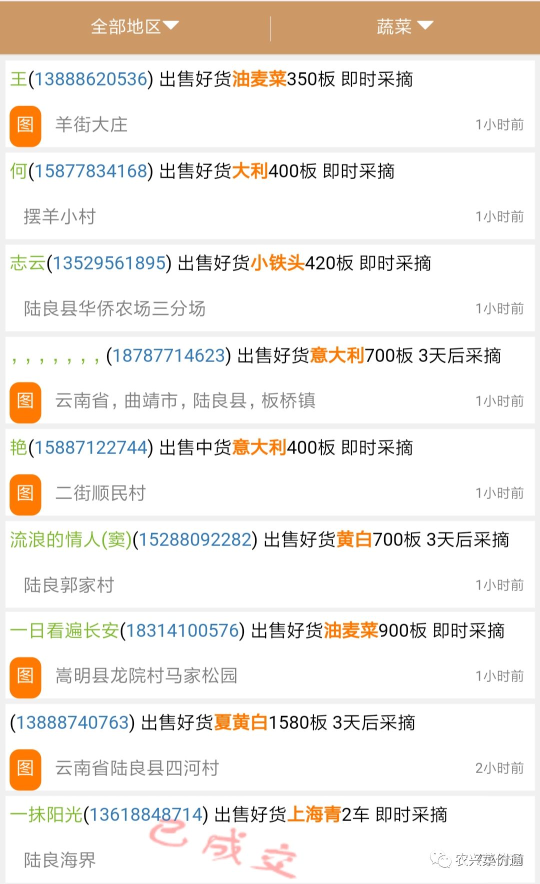 cd14d5d31af049d0aae21117b0add2e1.jpeg