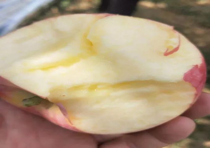 d1bc5ebffe774a78ae6b24a8d5ce76b1.jpeg