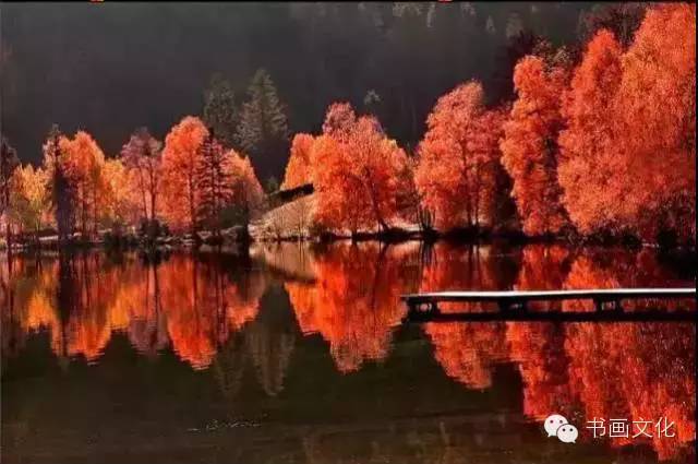 秋夕是描写立秋的诗吗