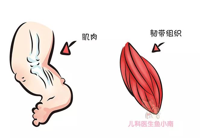 宝宝几个月开始走路算早 d496efe43fcc412cbca95713aab431fb.jpeg