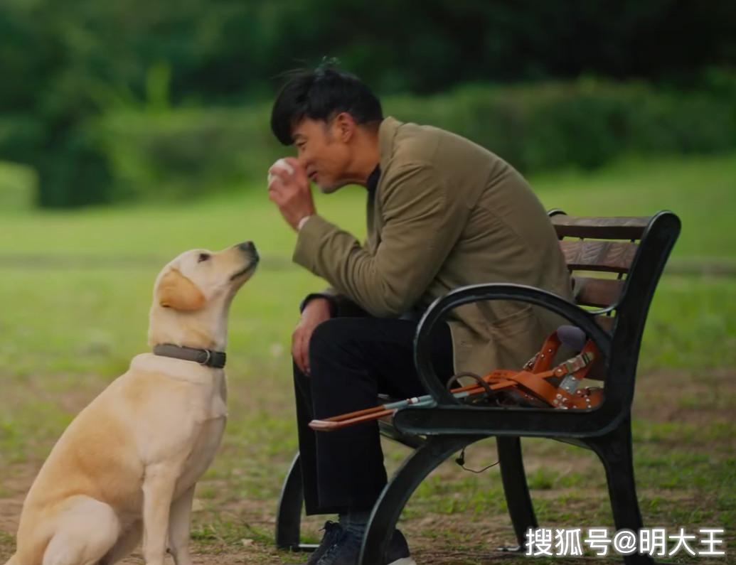 小q重新提档任达华顺利回归它将是国庆节前的最大黑马