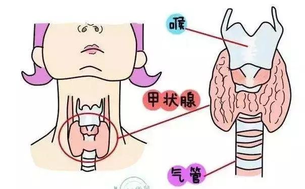                     8岁女孩身高1米36，她的骨龄已经11岁了，医生：幸好及时发现！