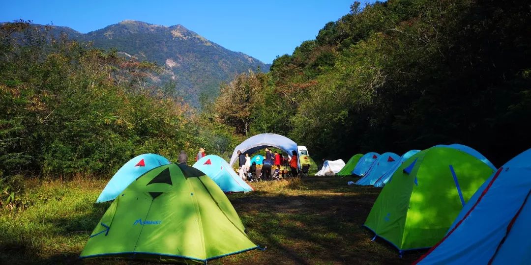 森林营地怎么搭_森林旅居营地