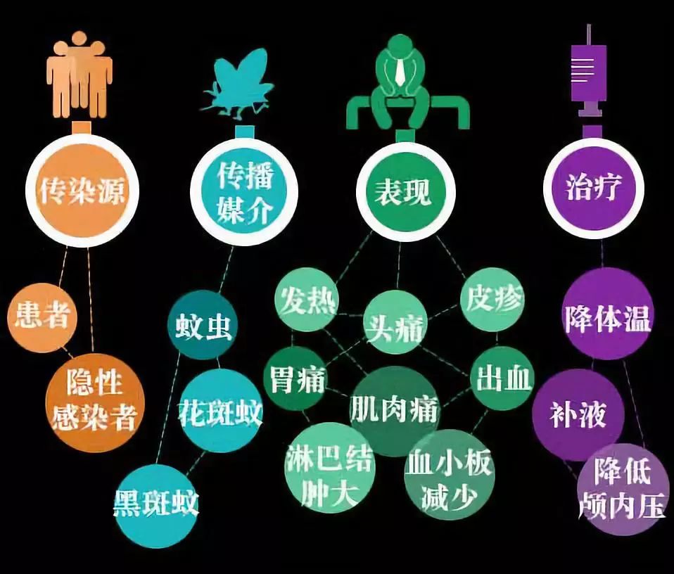 预防登革热这些知识学起来