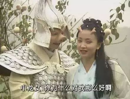 成语一龙一猪用来比喻两个人什么_两个人扛一猪