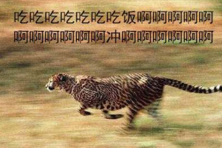 02de7508f877496bb3eff42396f1b852.jpeg
