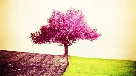 怎么,一晃就老了?