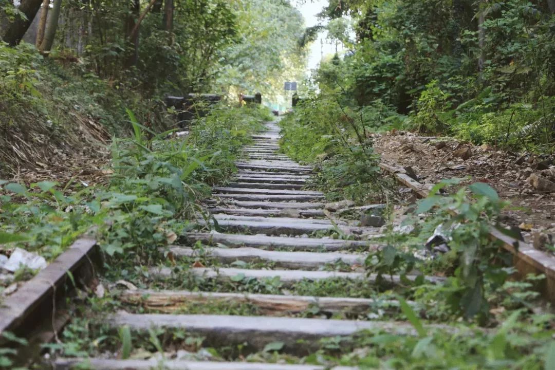 重庆铁路小川外其实是原重庆特殊钢厂的设计铁路.机械专用与制造的就业情况图片