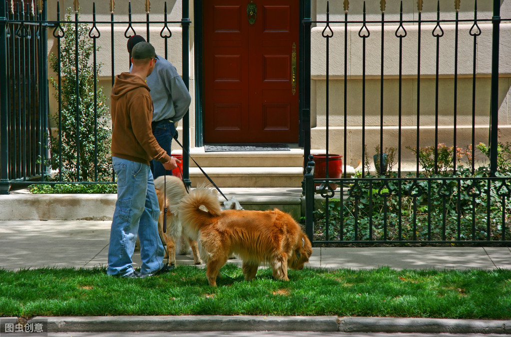 怎样寄宠物快递 12d6c06192cd42c4956d0de5a34d647d.jpeg