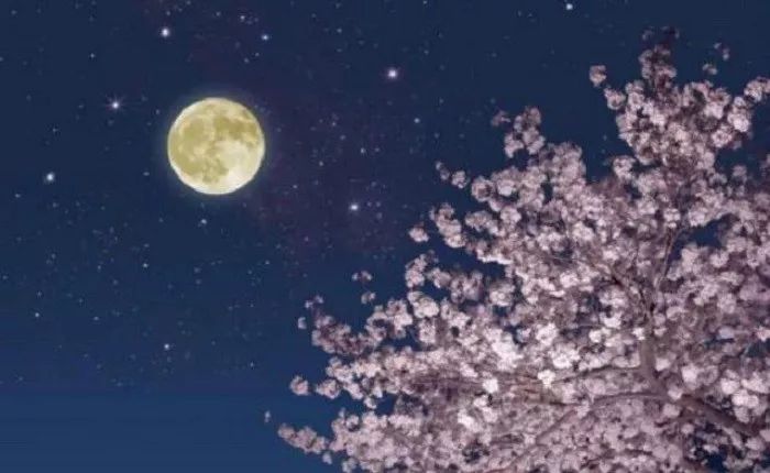 此时瞻白兔,直欲数秋毫.