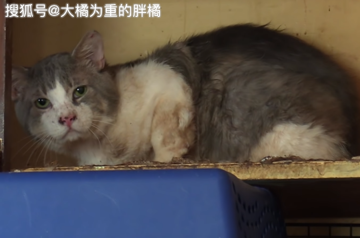 13919a8ed88c48aeabe5bf5e886a9d95.png