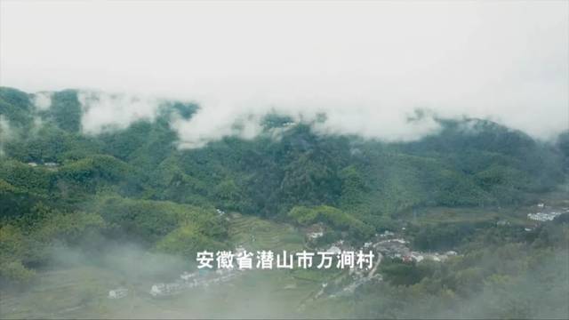 闽侯青口人口过万的村有哪些_闽侯青口镇西台村(3)