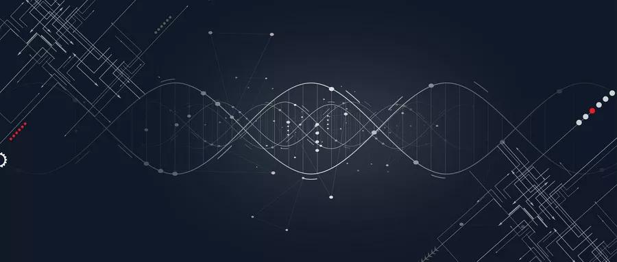 155f6c7282d44881b924245860d5568e.JPG