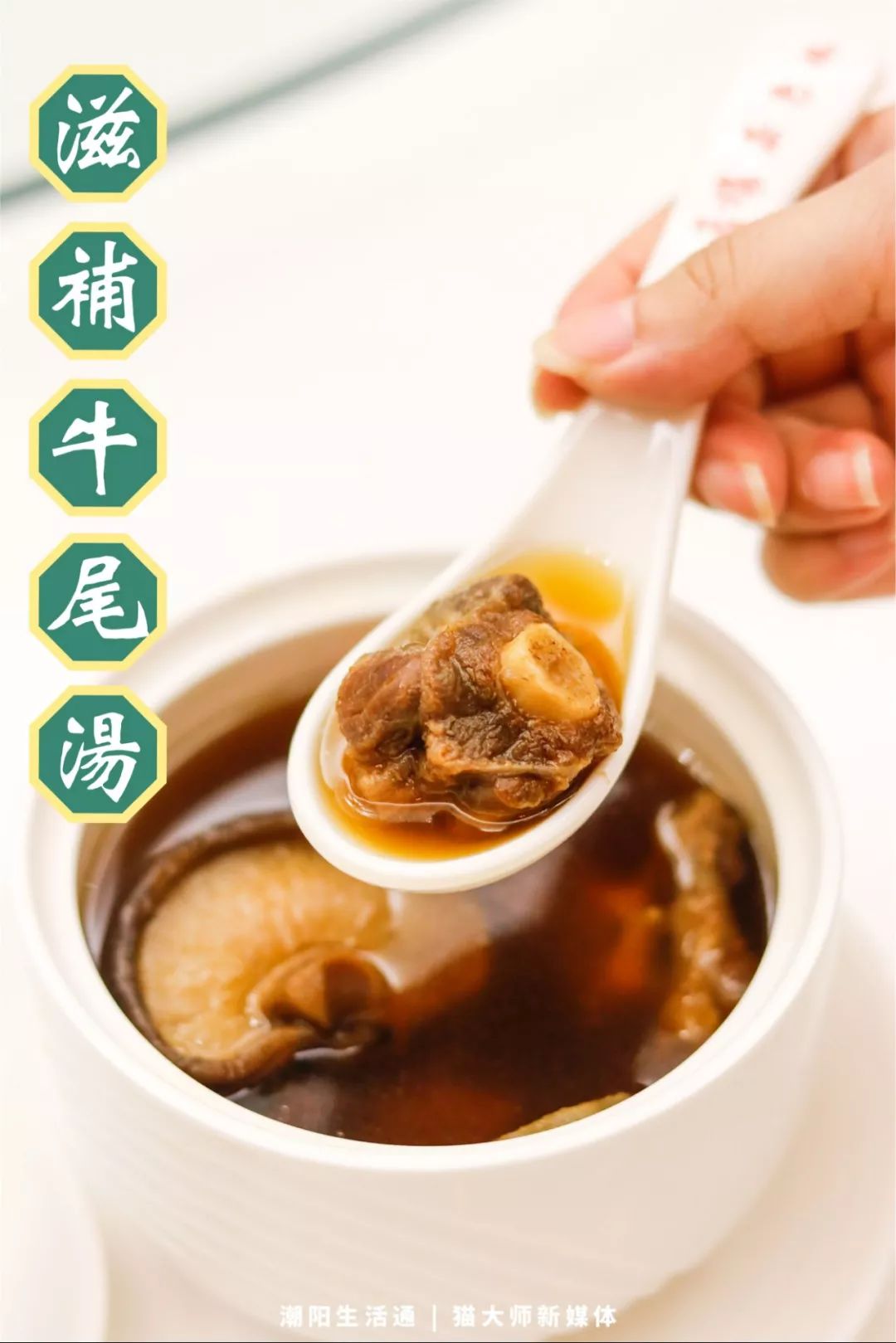 滋补牛尾汤