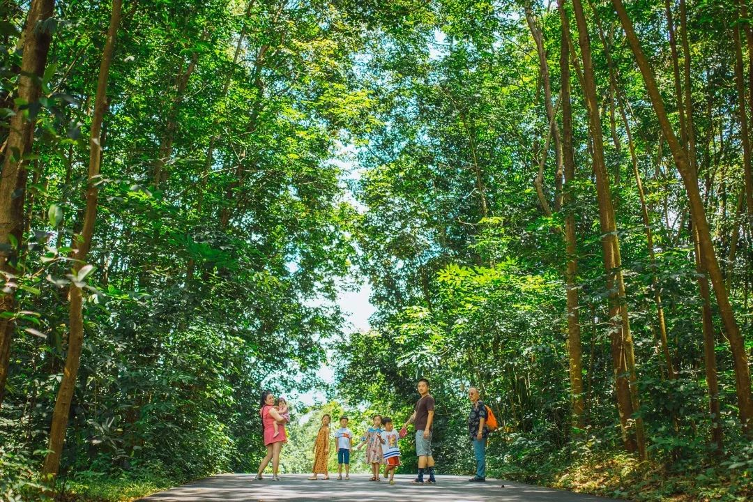 西双版纳网红打卡地,邀你来最美伴山小院赏月吃冷餐啦