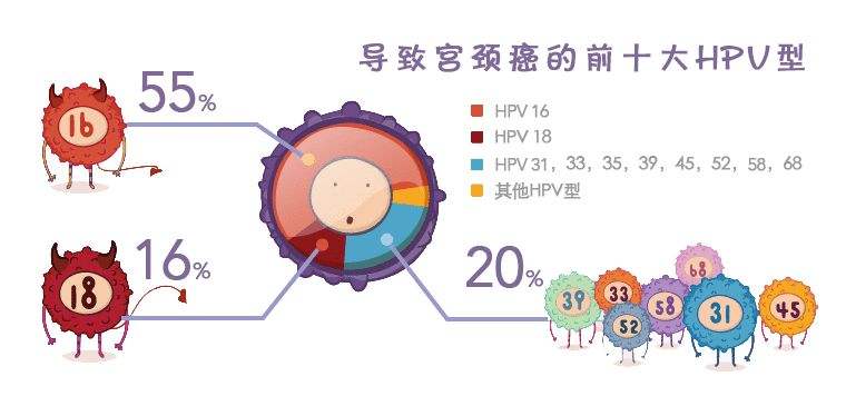 所以重视hpv筛查,及早进行干预治疗,是预防宫颈癌最好的方式.