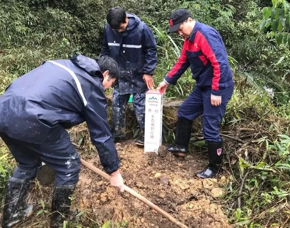 广西生态保护红线首桩落户上林