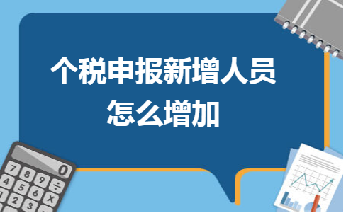 申报个税人口_2020个税申报步骤截图(3)