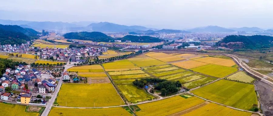 宝应县人口_宝应县景点