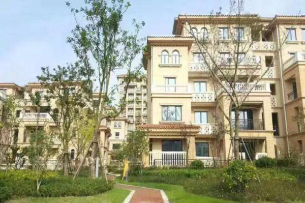 2019上海金山【毕加索花园小镇】出事了!出大