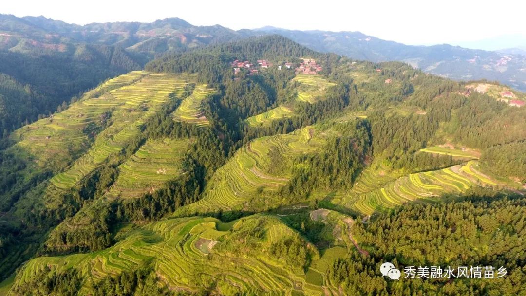 拱洞乡高武村的梯田(无人机拍摄)地处大苗山深处的融水苗族自治县素有