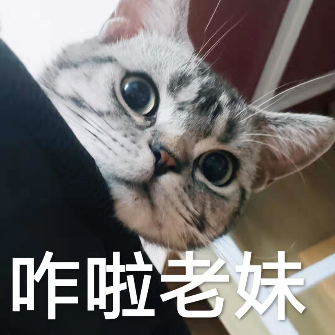5c2a90b7540248d2829a2baefbfa3418.jpeg