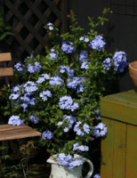 5d44868da9a8491385e2f181acec1611.png