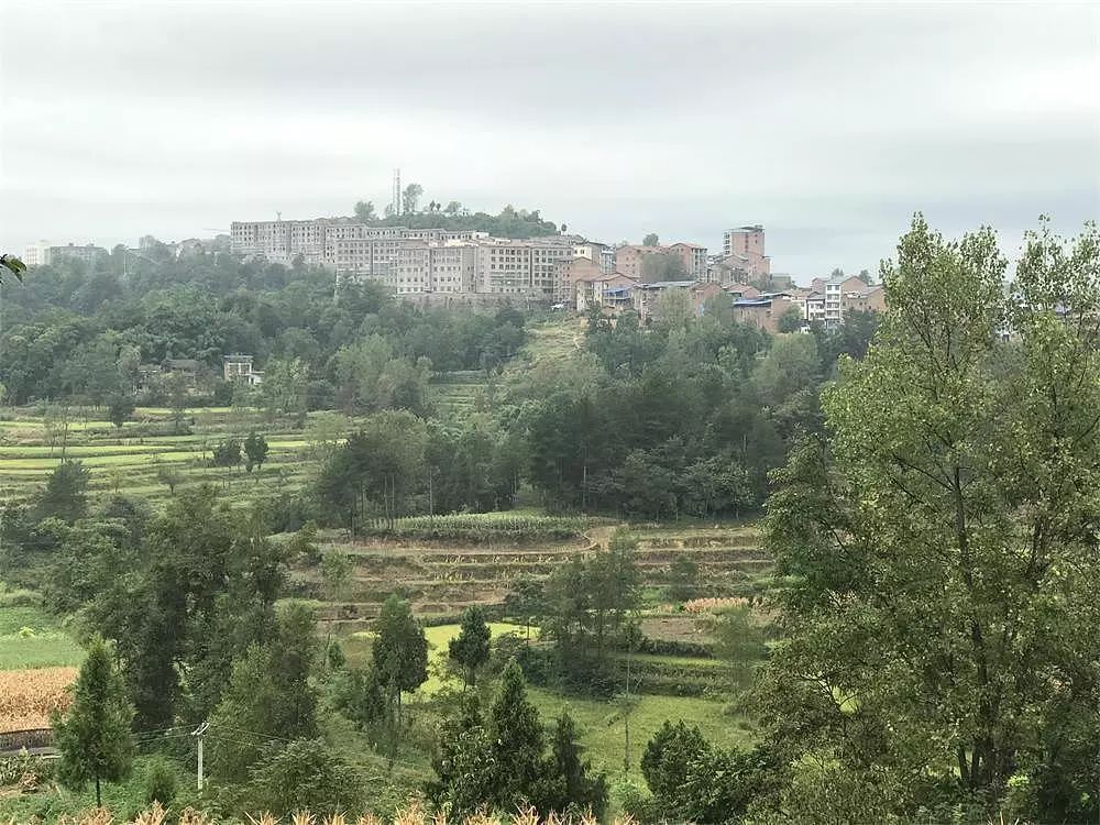 达州市北山镇GDP_竹林镇北山公园石刻