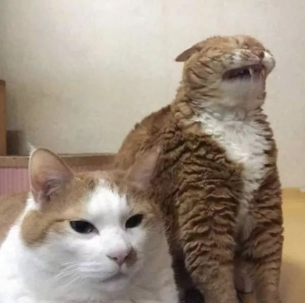 65c07271788844299aa02a0b5fd5fbed.jpeg