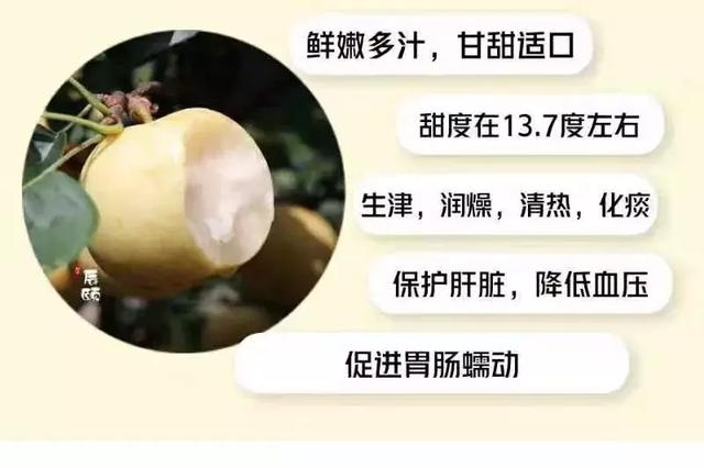 ��������:�ƽ��桪�����۶�֭,�����ʿ�