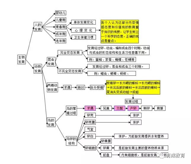 2020中考生必看:初中生物思维导图解析大全_绿色植物