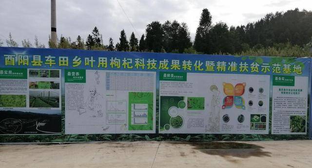 资源县车田乡经济总量_资源县车田乡图片