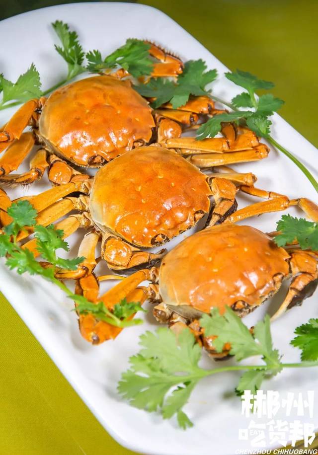 郴州新①波爆黄预警!阳澄湖土著来了!2种口