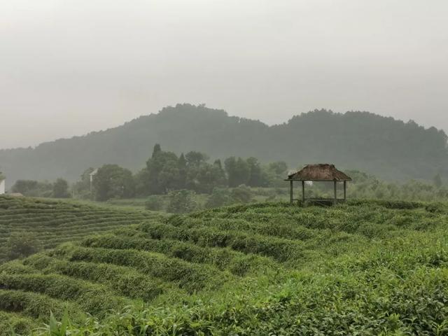 三国年代有多少人口_台湾有多少人口(3)