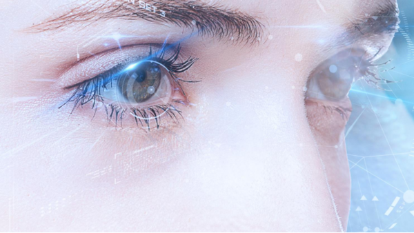 8ff07410086949ae9125a9164ec6c051.png