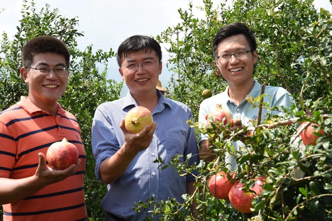 永胜县:民生保障提升群众获得感