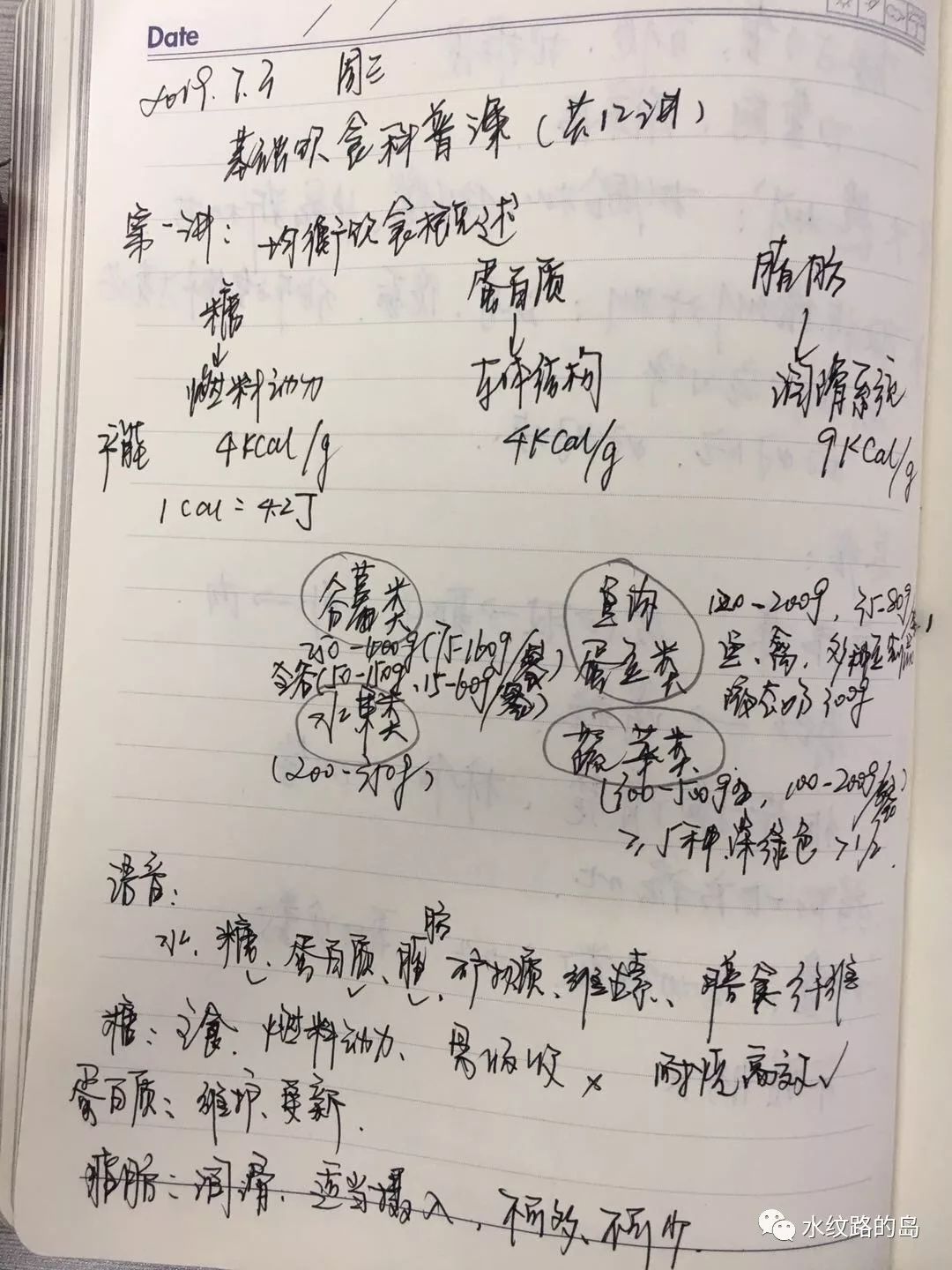 锦色鸡简谱_邦锦梅朵儿歌简谱(2)