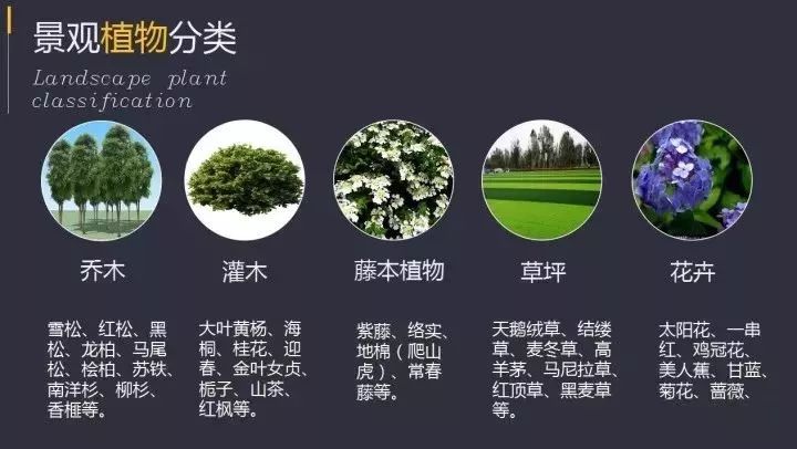 园林景观植物配置_景观设计_景观设计_重庆花木网