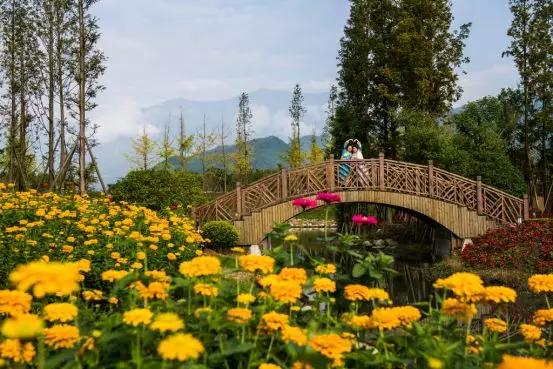 成都市 彭州市通济花海景区