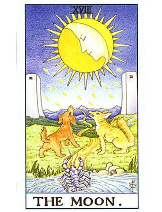 ��е������������һ�ֹ���,��������ʺ���������