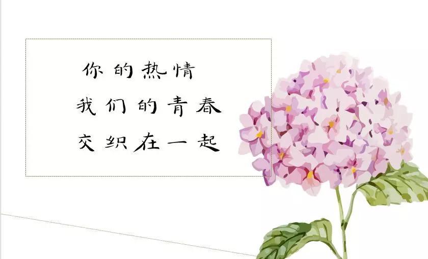 ab576bbb823c4fe7bee63aed12d890b3.jpeg