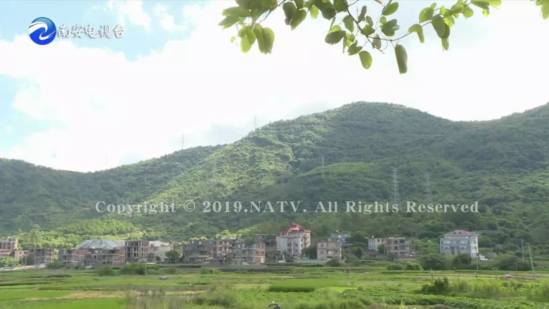 洪濑镇人口_洪濑镇溪霞小学图片(3)