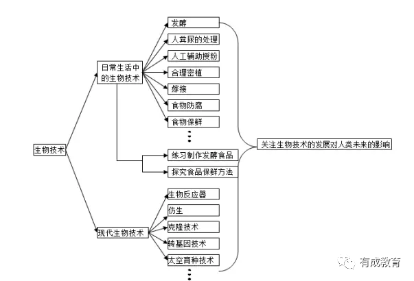 2020中考生必看:初中生物思维导图解析大全_绿色植物